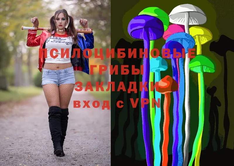 Галлюциногенные грибы Psilocybe  Котовск 